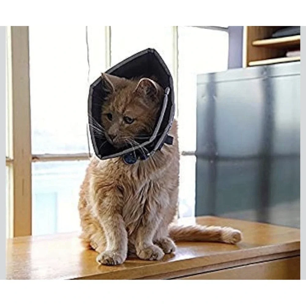All Four Paws Comfy Cone Small Long Black Soft Pet Recovery Collar S/L 8in Snout